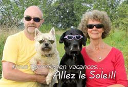 AllInSunglasses AllInSunglasses